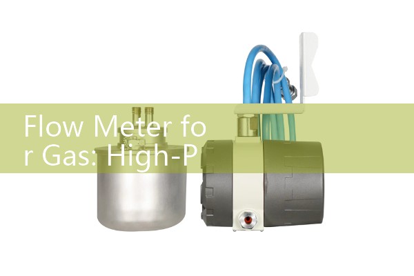 Flow Meter for Gas: High-Precision Industrial Vapor Monitors