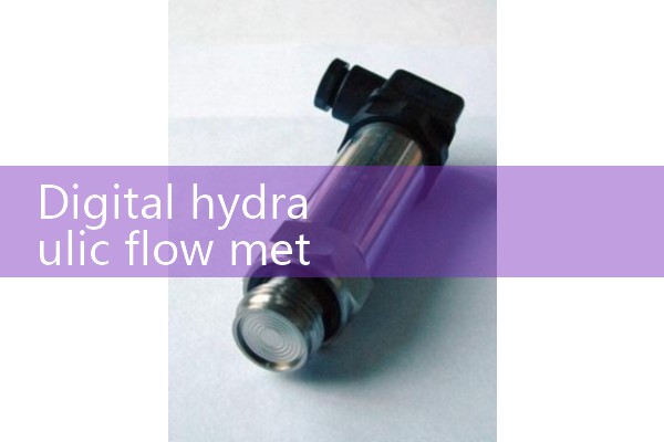 digital hydraulic flow meter