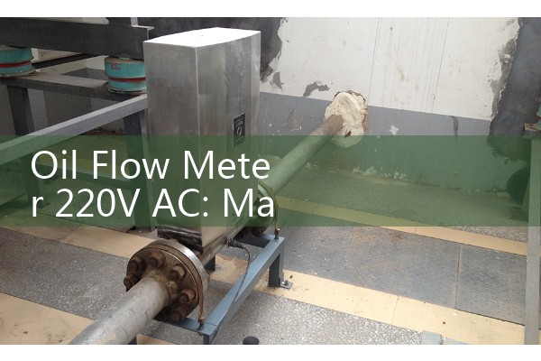 Oil Flow Meter 220V AC: Main Power Integration for Large Utility Facilities