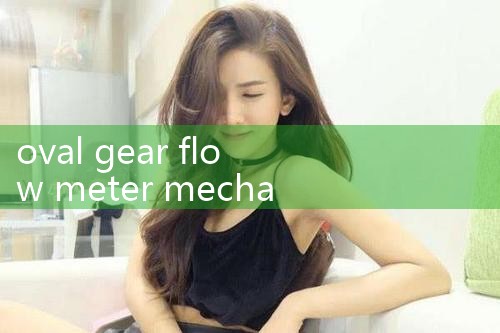 oval gear flow meter mechanical|vortex flow meter