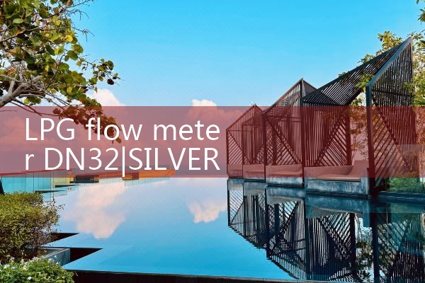 LPG flow meter DN32|arduino flow meter