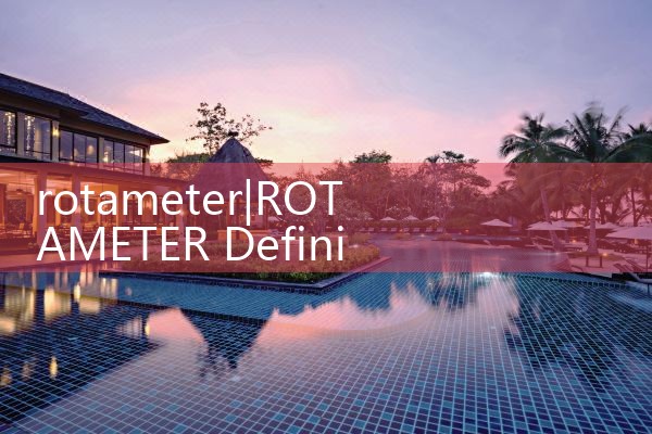 rotameter|vortex flow meter