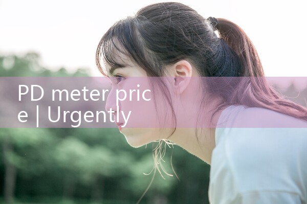pd meter price|mass flowmeter