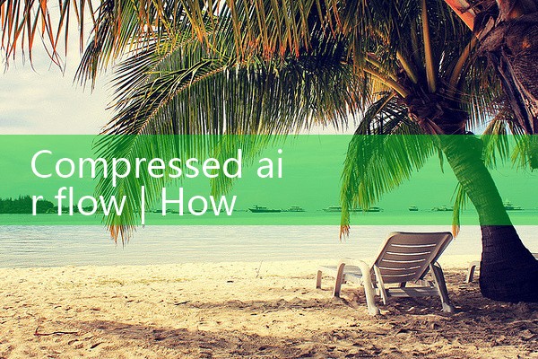 compressed air flow|mass flowmeter