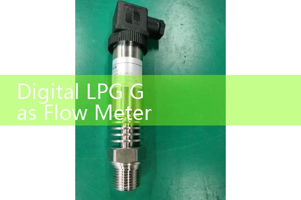 Digital LPG Gas Flow Meter: High Pressure Propane Fuel Delivery Sensors