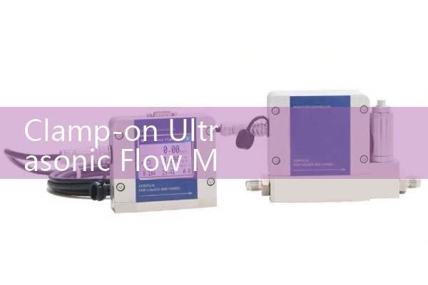 Clamp-on Ultrasonic Flow Meter Manufacturers: Comparing Flexim and Panametrics