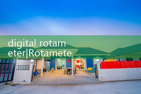 digital rotameter|vortex flow meter