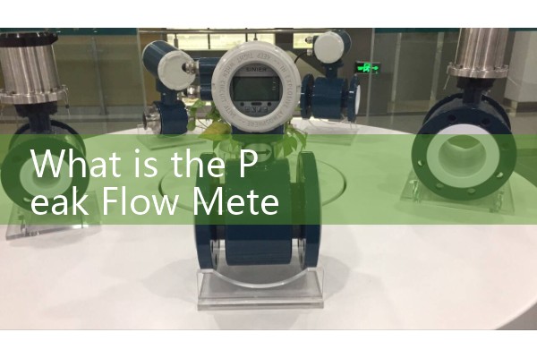 What is the Peak Flow Meter Used For: Home Respiratory Condition Tracking