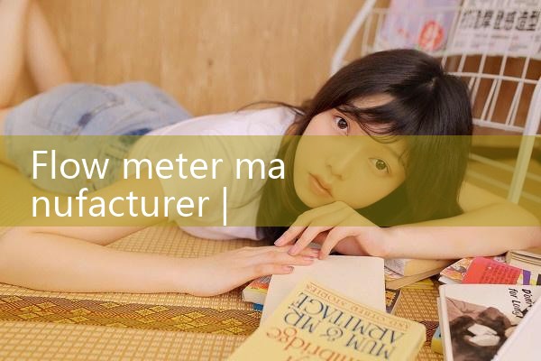 flow meter manufacturer|mass flowmeter