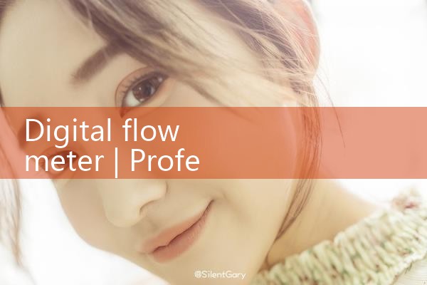 digital flow meter|coriolis mass flow meter