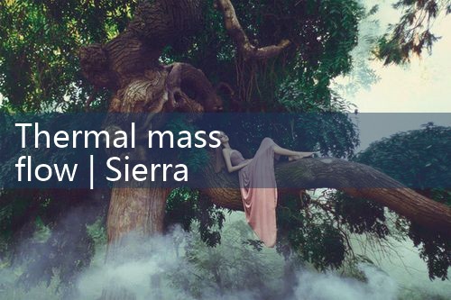 thermal mass flow|mass flowmeter