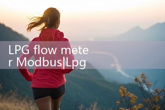 LPG flow meter Modbus|arduino flow meter