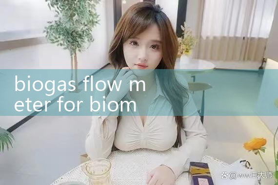 biogas flow meter for biomethane|arduino flow meter