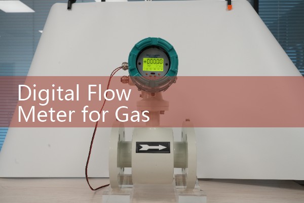 Digital Flow Meter for Gas: Inline Saturated Vapor Mass Sourcing Frameworks