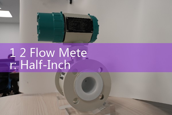 1 2 Flow Meter: Half-Inch NPT Inline Liquid Instruments