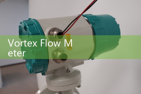 Vortex Flow Meter