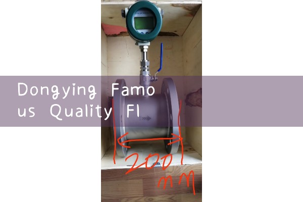 Dongying Famous Quality Flow Meter Manufacturer