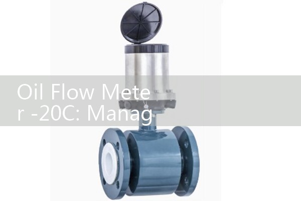 Oil Flow Meter -20C: Managing Fluid Solidification in Northern Field Lines