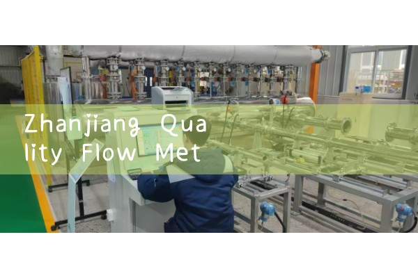 Zhanjiang Quality Flow Meter Customization Manufacturer