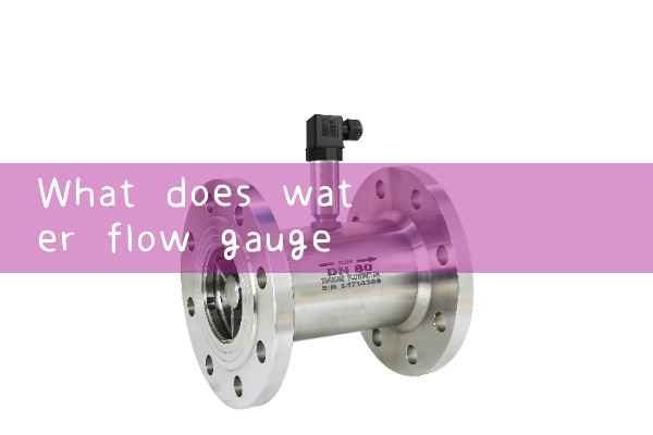 water flow gauge|venturi meter